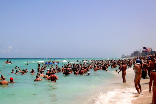 525px x 350px - Haulover Beach Park - Nude beach - Miami - Reviews - ellgeeBE