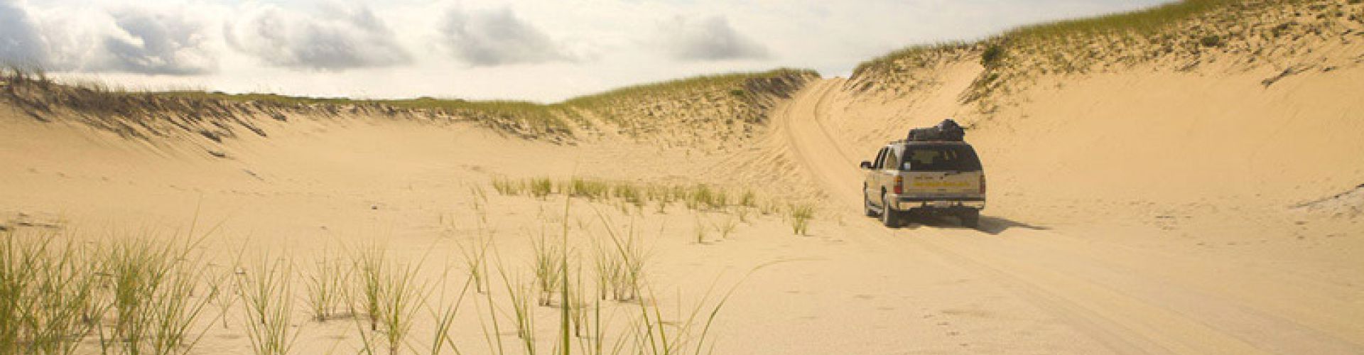 art's dune tours clambake